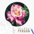 Картина по номерам круглая Красавица в саду ©Anna Steshenko, Brushme (30 см)
