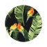 Картина по номерам круглая Попугаи в тропиках, Brushme (40 см)