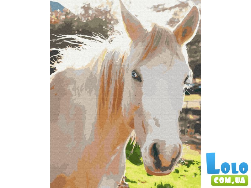 Картина по номерам Белая лошадь, Brushme (40х50 см)