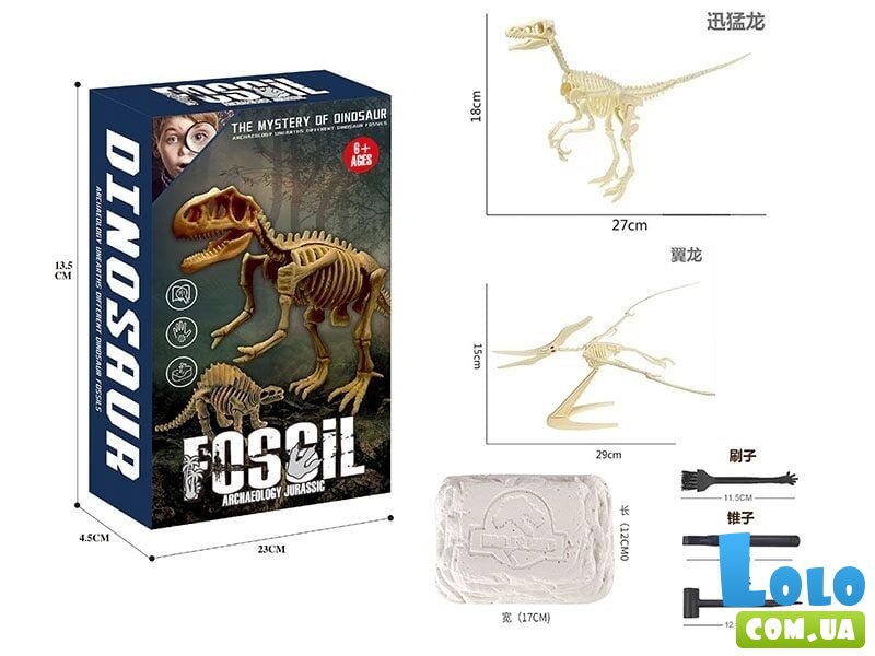 Раскопки Скелет динозавров