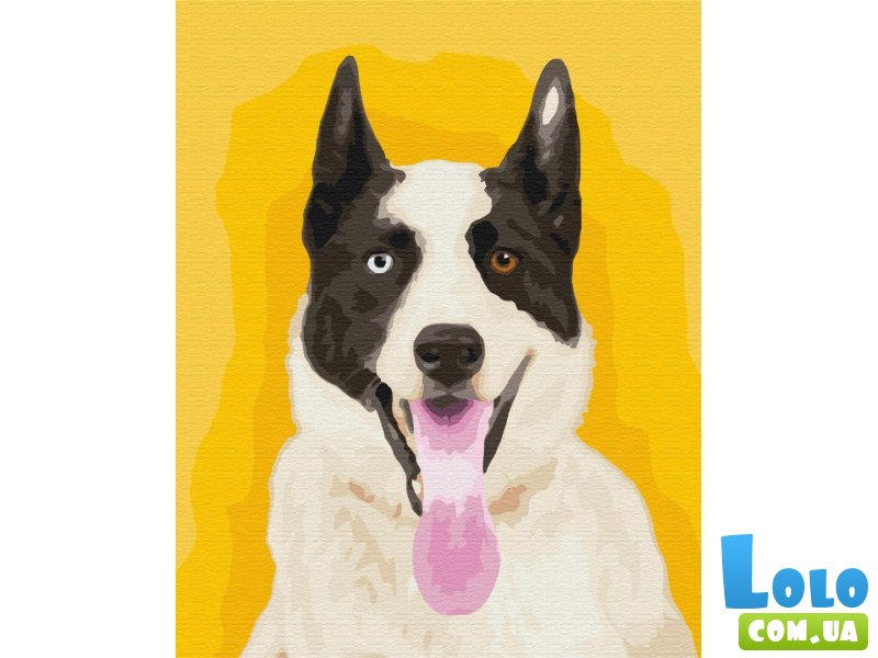 Картина по номерам Яркая собака, Brushme (40х50 см)