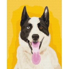 Картина по номерам Яркая собака, Brushme (40х50 см)