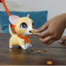 Интерактивная игрушка Маленький шаловливый питомец, Hasbro (в ассортименте)