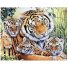 Алмазная мозаика Тигриная семья, Strateg (40х50 см)