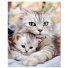 Алмазная мозаика Мать кошка, Strateg (40х50 см)