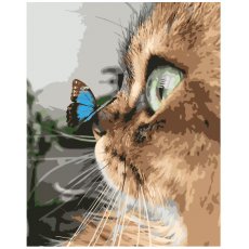 Картина по номерам Котик с бабочкой, Strateg (40х50 см)