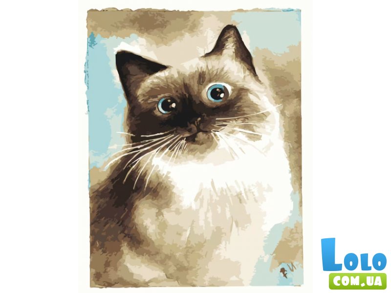 Картина по номерам Удивительная кошка, Strateg (40х50 см)