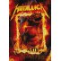 Пазл Metallica. Fire Demon, GB eye, 1000 эл.