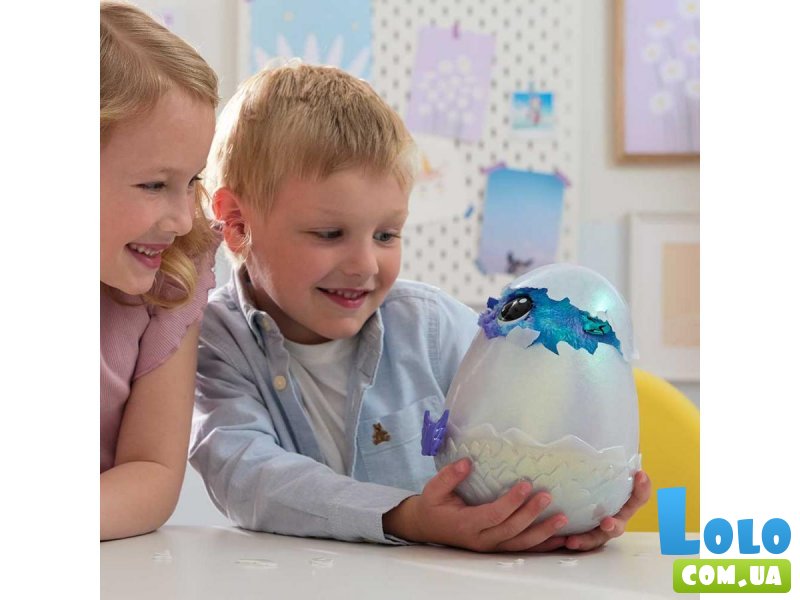 Интерактивная игрушка Драко в яйце Hatchimals, Spin Master (в ассортименте)