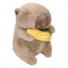 Мягкая игрушка Капибара с кукурузой, 21 см