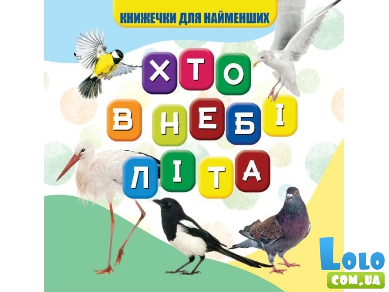 Книга для самых маленьких Кто в небе летает, Jumbi
