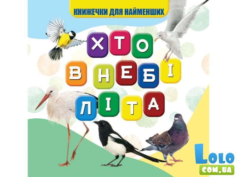 Моя первая книга: Кто в небе летает, Jumbi