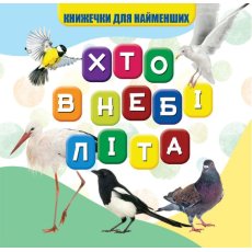 Книга для самых маленьких Кто в небе летает, Jumbi
