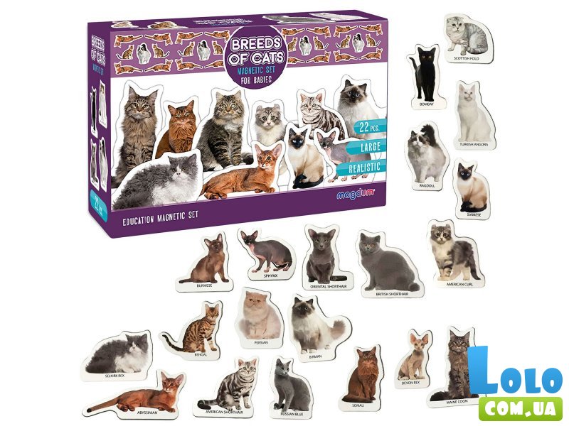 Набор магнитов Породы кошек (англ.)