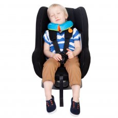 Подушка для путешествия Bert, Trunki