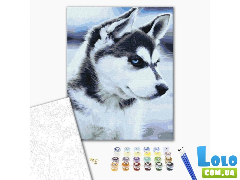 Картина по номерам Щенок Хаски, Brushme (40х50 см)