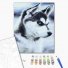 Картина по номерам Щенок Хаски, Brushme (40х50 см)