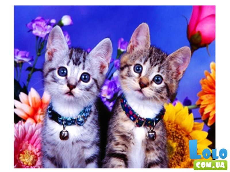 Алмазная мозаика Котята, TK Group (30х20 см)