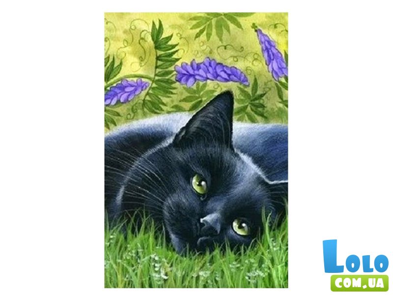 Алмазная мозаика Черная кошка, TK Group (30х20 см)