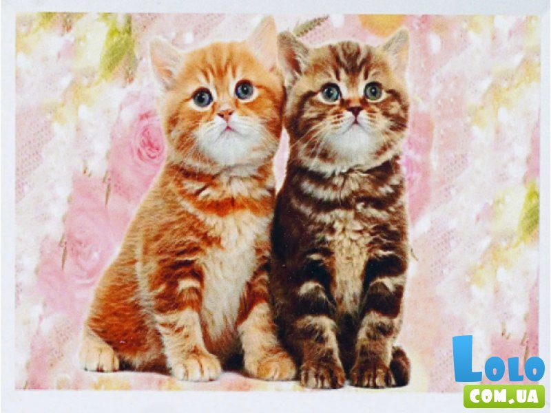 Алмазная мозаика Котята, TK Group (20х30 см)