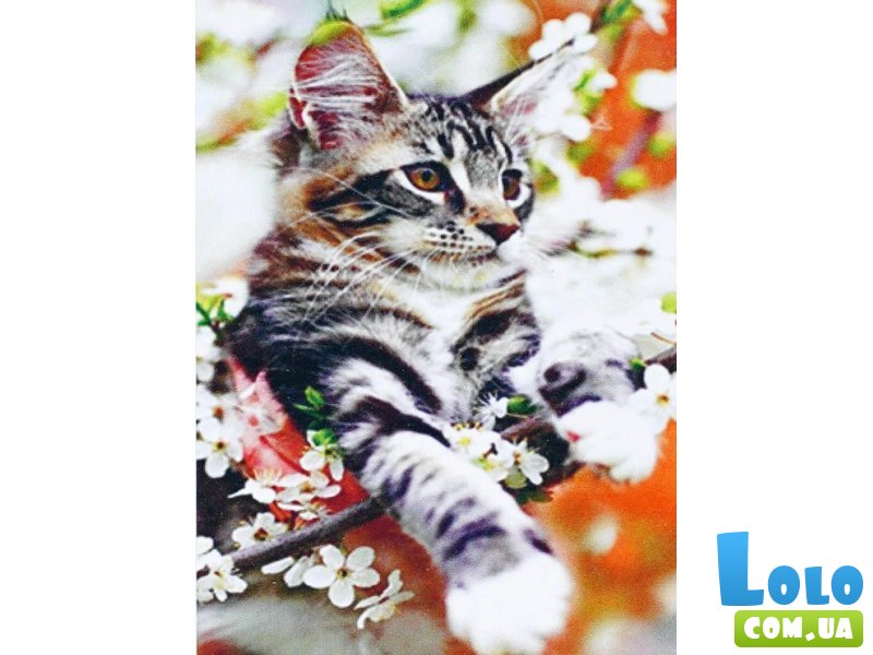 Алмазная мозаика Котик, TK Group (30х20 см)