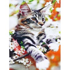 Алмазная мозаика Котик, TK Group (30х20 см)