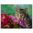 Алмазная мозаика Котик в цветах, TK Group (30х20 см)