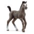 Фигурка Французский жеребенок, Schleich