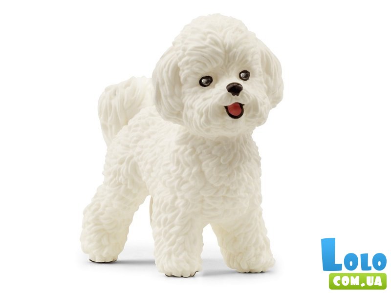 Фигурка Бишон Фризе собачка, Schleich