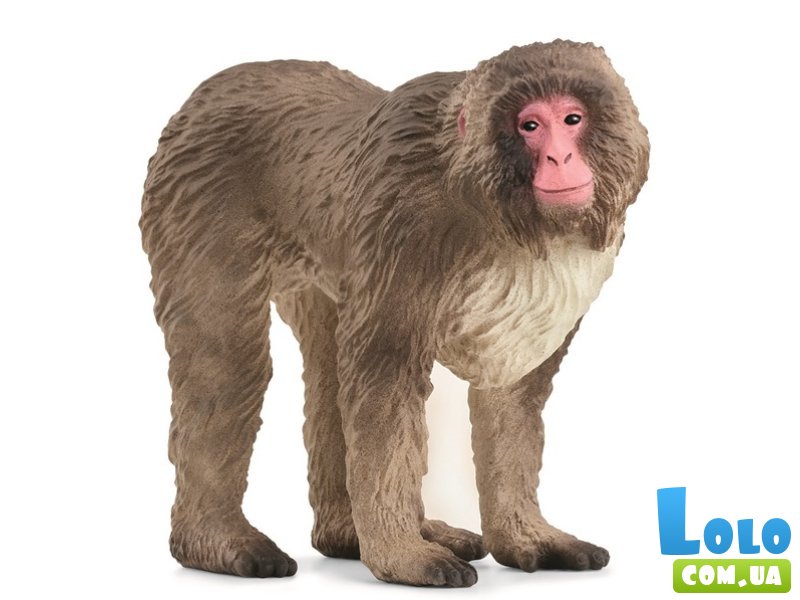 Фигурка Японская макака, Schleich