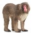 Фигурка Японская макака, Schleich