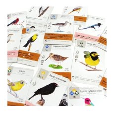 Настольная игра Крылья, Игромаг