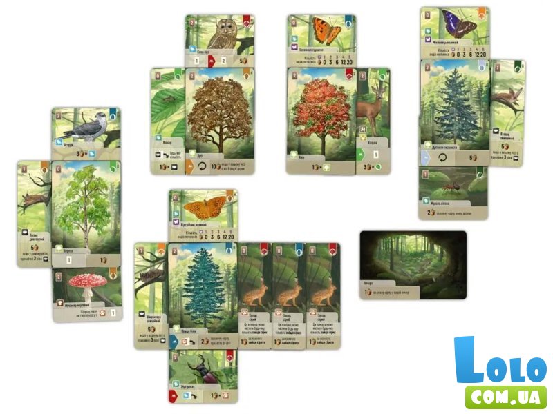 Настольная игра Лесная суета, Lord of Boards