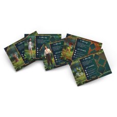 Настольная игра Мавка: Между двумя мирами, Rozum