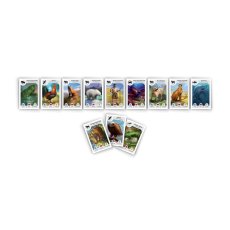 Настольная игра Картолиния: Животные, Rozum