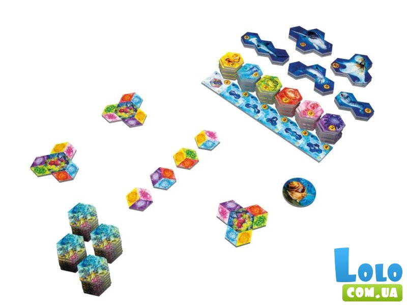 Настольная игра Aqua: Океанское биоразнообразие, Lord of Boards