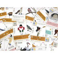 Настольная игра Крылья. Фан Арт Пак, Игромаг