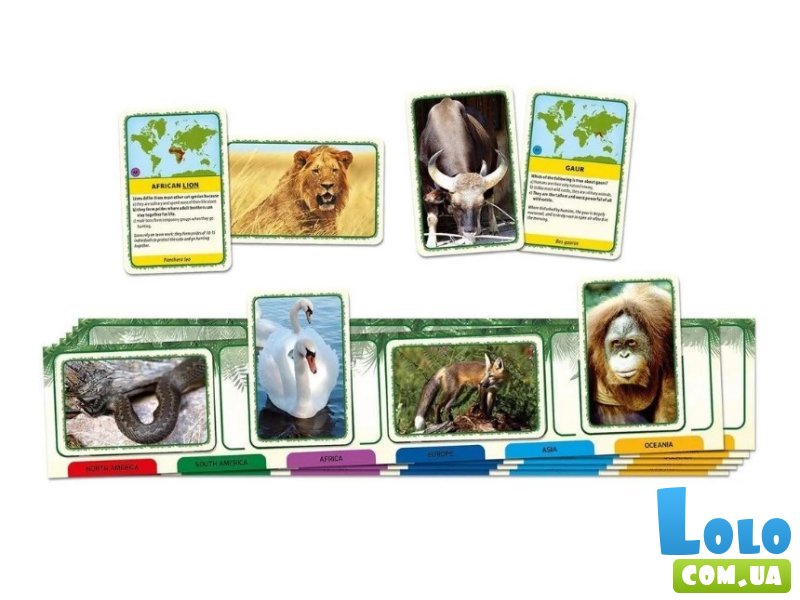 Настольная игра Животные мира, Tactic