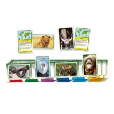 Настольная игра Животные мира, Tactic