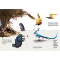 Книга Артбук Создание мира игры Hogwarts Legacy, Mal`Opus