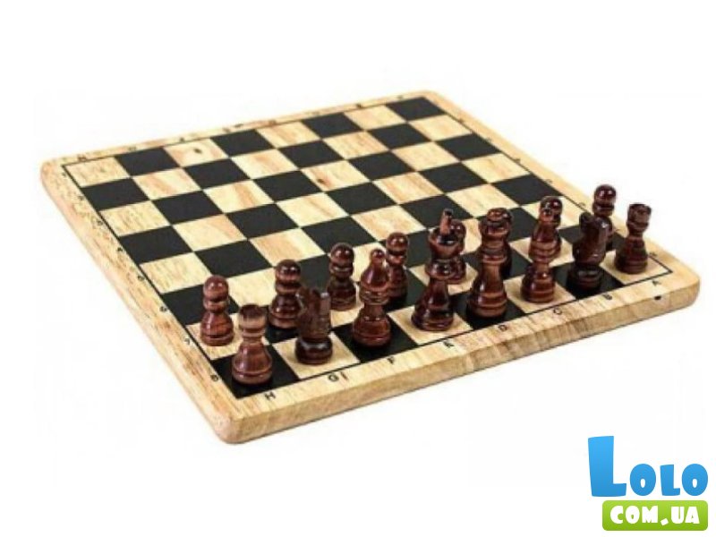 Настольная игра 5 в 1: шахматы, нарды, домино, Tactic