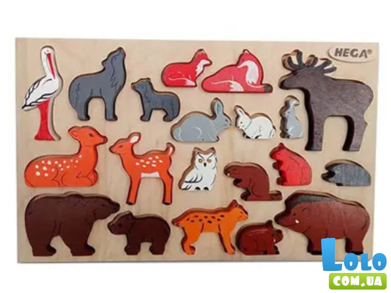 Рамка-вкладыш Дикие звери Украины, Hega