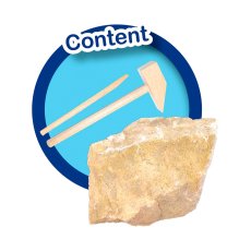 Набор Исследователь: Раскопки Скелета Тиранозавра, SES Creative