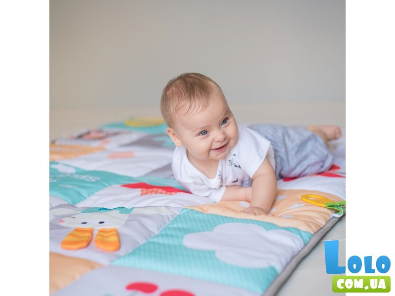 Развивающий коврик Мои увлечения, Taf Toys