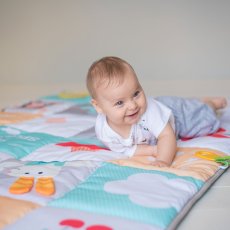 Развивающий коврик Мои увлечения, Taf Toys