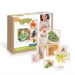 Набор Natural Play Сокровища в прозрачных ящиках, Guidecraft