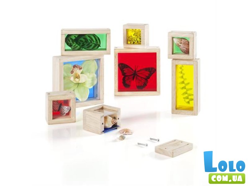 Набор Natural Play Сокровища в цветных ящиках, Guidecraft