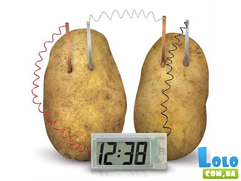 Набор для исследований Картофельные часы, 4M