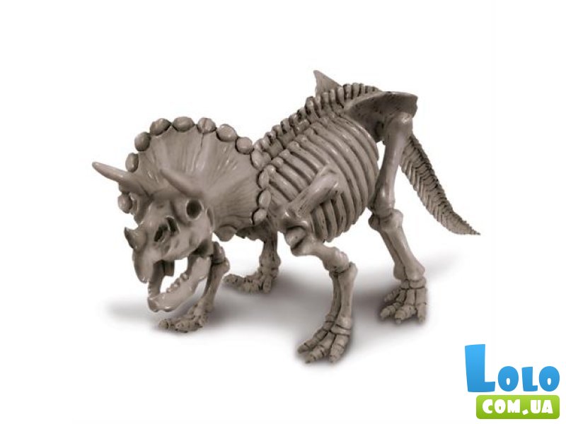 Набор для раскопок Скелет трицератопса, 4M