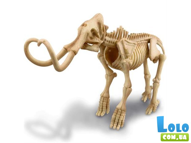 Набор для раскопок Скелет мамонта, 4M